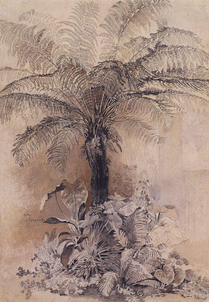 Tropical plants (1854).