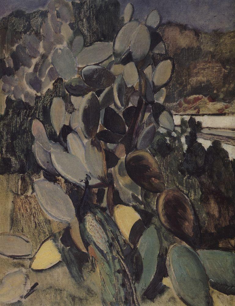 Cacti (1907).