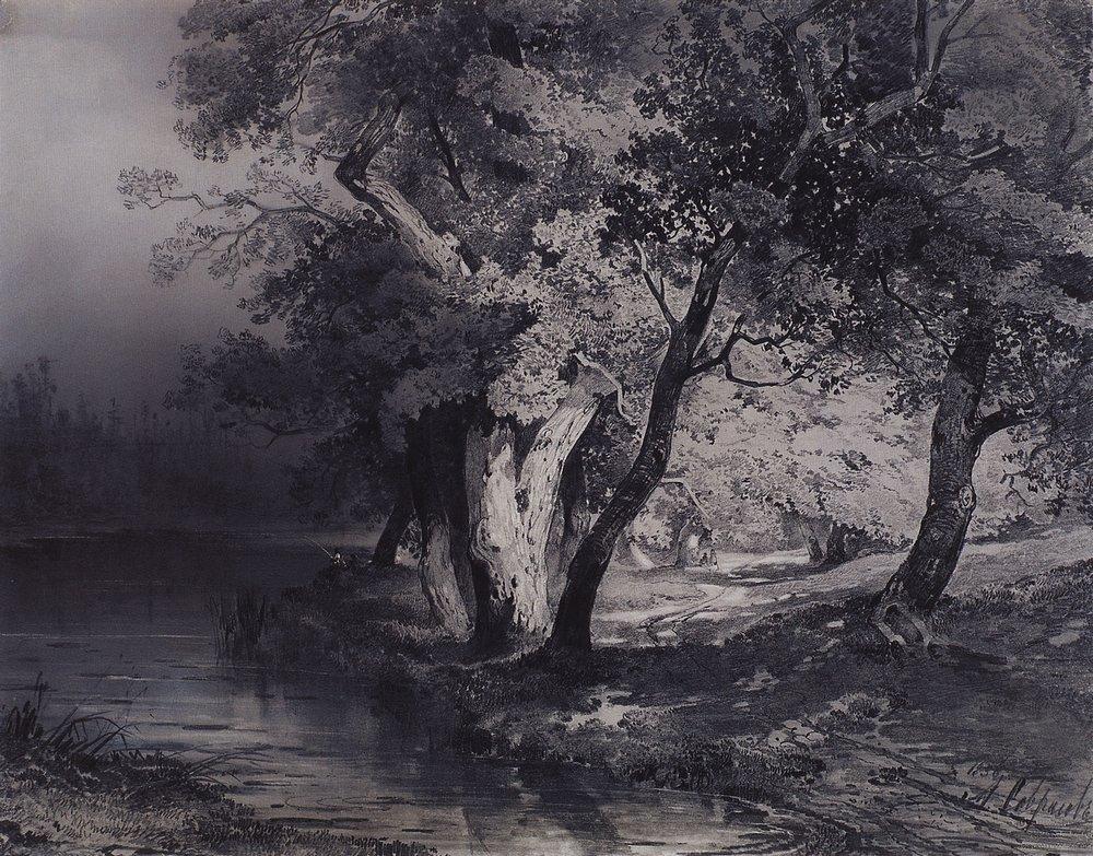 Forest near the lake, illuminated by the sun (1856).