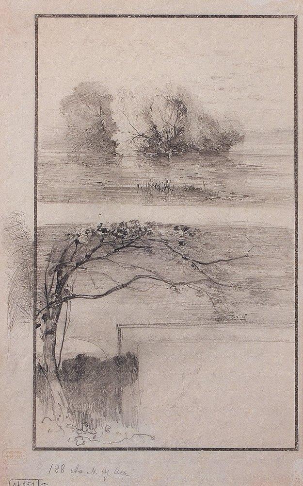 Trees near the water. Branches of trees (1870).
