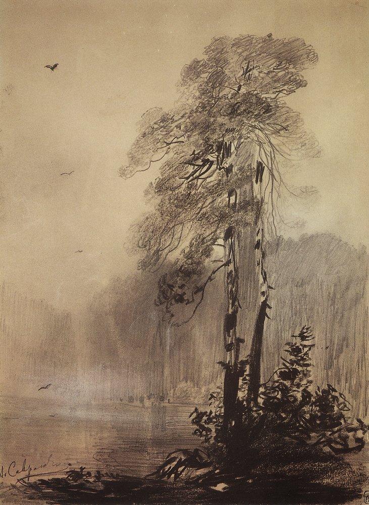 Pines on the shores of Lake (1890).