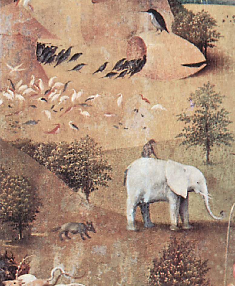The Garden of Earthly Delights  (detail) (1516).