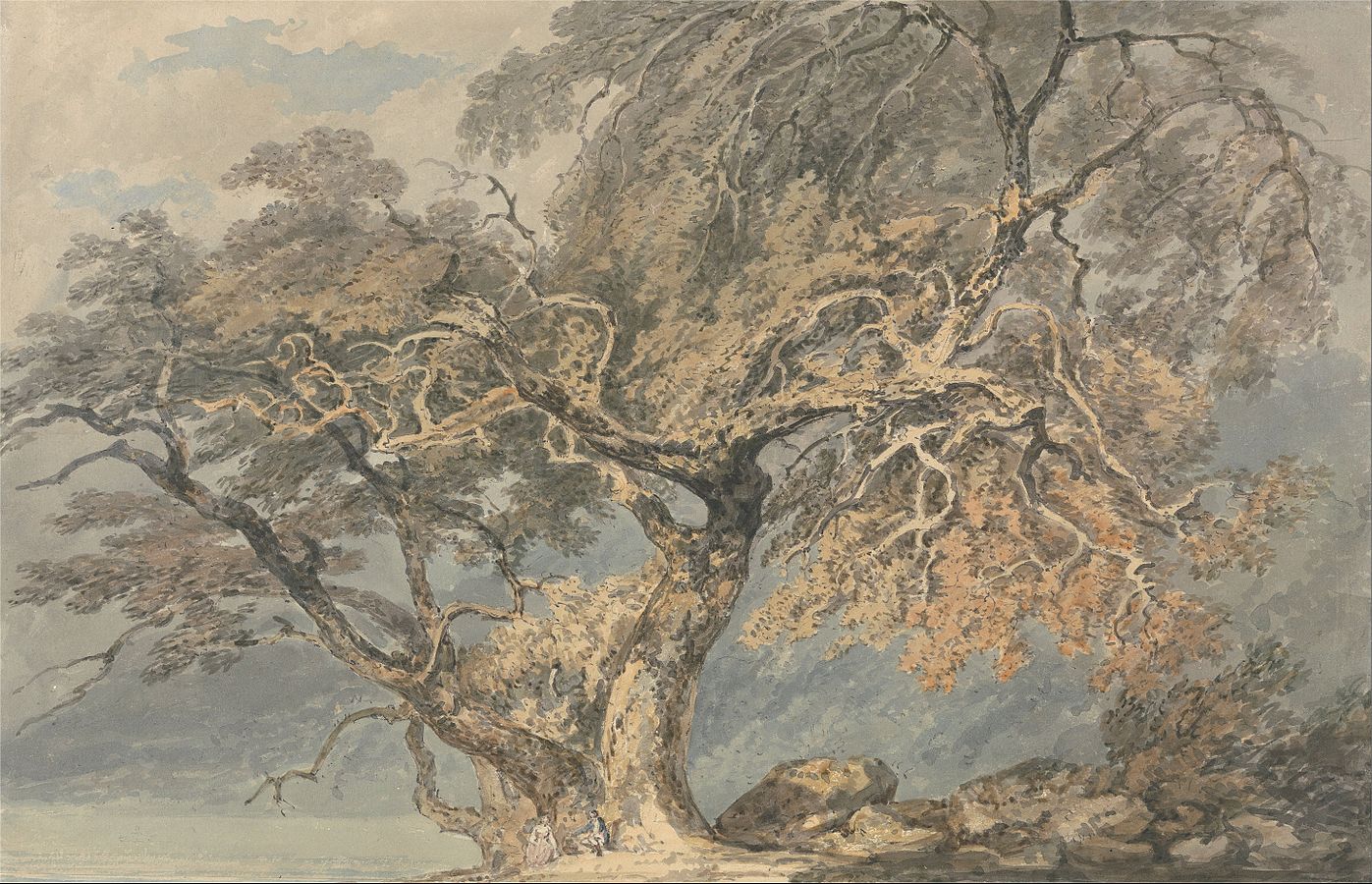 A Great Tree (1796).